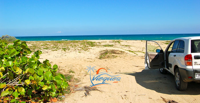 Playa Grande - Vieques Island, Puerto Rico Beaches