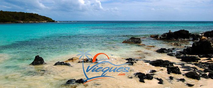 vieques-puerto-rico-beaches
