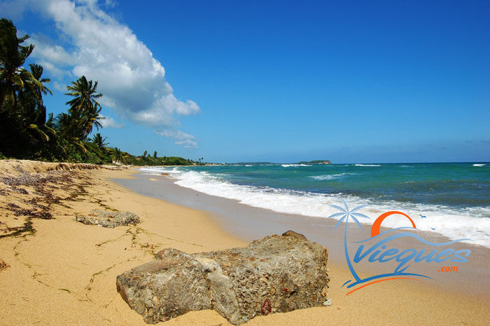 Vieques Beaches - Playa Grande Beach - Gorgeous long beach