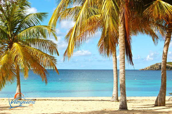 Sun Bay Beach, Vieques Island, Puerto Rico  Vieques