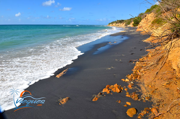 Playa Negra Negrita Black Sand Beach Vieques Puerto Rico