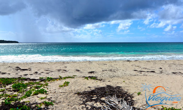 La Chiva Beach  Vieques, Puerto Rico  quot;Blue Beachquot;