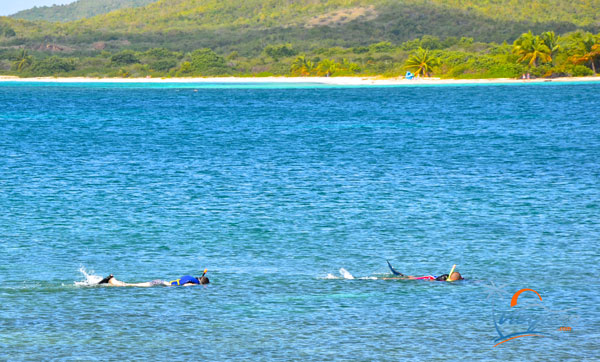 La Chiva Beach  Vieques, Puerto Rico  quot;Blue Beachquot;