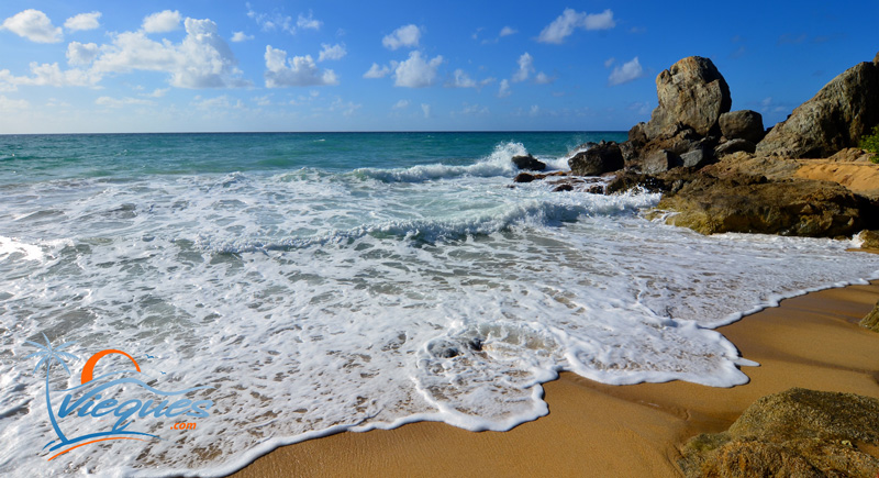 Playa Grande, Vieques, Puerto Rico | Vieques