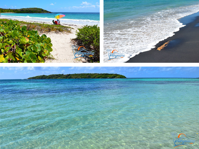 The Amazing Beaches of Vieques… One of the Islands of Puerto Rico | Vieques