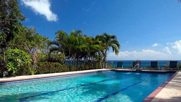 Where to Stay in Vieques, Puerto Rico | Vieques