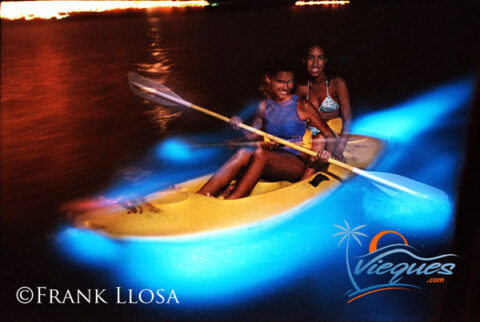 Mosquito Bioluminescent Bay | Vieques